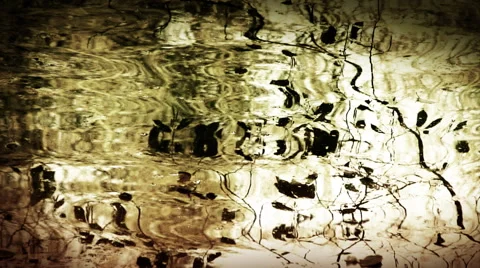 Trees reflecting in a pond in autumn. Stock Footage 44560968