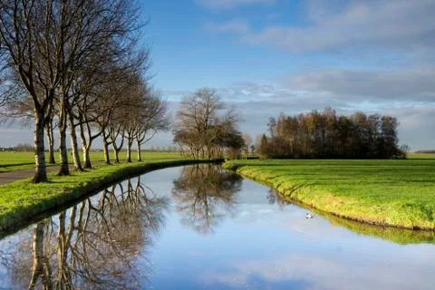 Trees reflecting in a pond Stock Photos