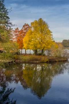 Trees reflecting in the water Stock Photos
