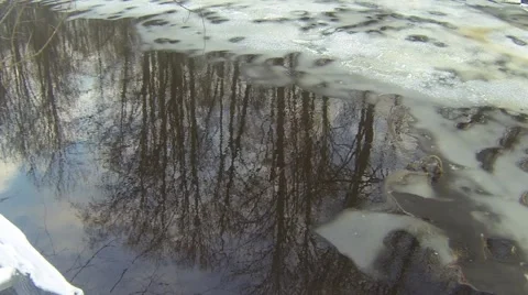 Trees reflecting from water surface at wintertime Stock Footage 46363755
