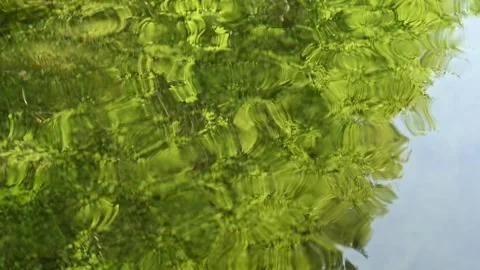 Trees reflecting on the waves of a mountain stream (slow motion) 스톡 동영상 260837739