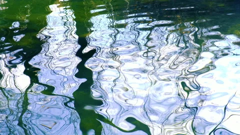 Trees reflection in hte river Stock Footage 147731584