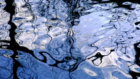 Trees reflection in hte river Stock Footage 147731624