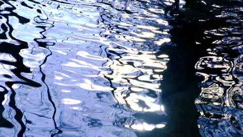 Trees reflection in hte river Stock Footage 147731655