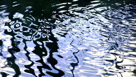 Trees reflection in hte river Stock Footage 147731699