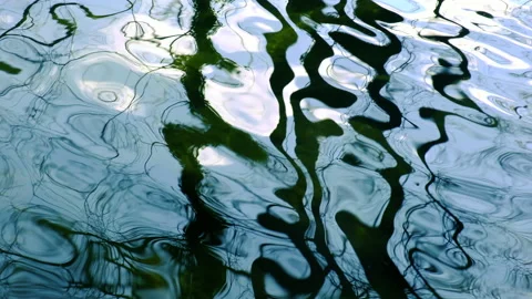 Trees reflection in hte river Stock Footage 147731794