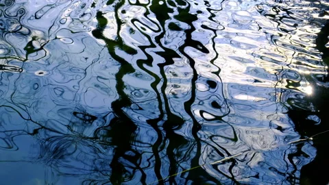 Trees reflection in hte river Video stock 147733506