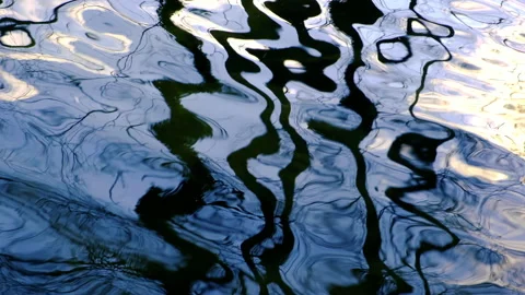 Trees reflection in the river Stock Footage 147733527