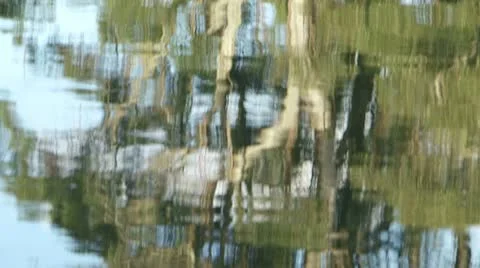 Trees reflection on water Video stock 11024063