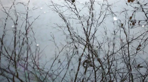 Trees reflection in water Video stock 36757820