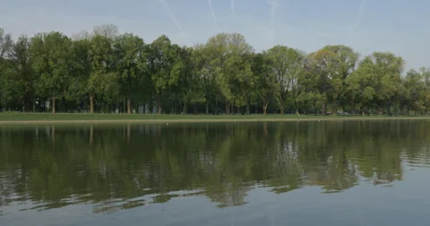 Trees Reflection in water Stock Footage 37855106