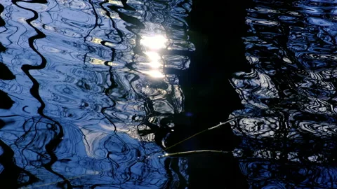 Trees reflection in the water Stock Footage 147735601