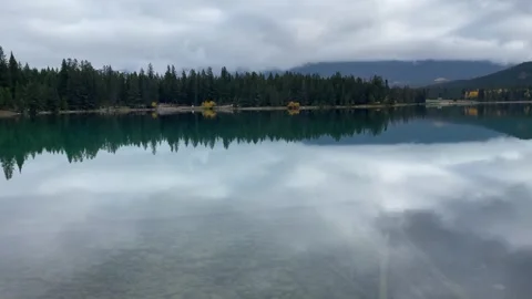 Trees Reflection On The Water Stock Footage 253153235