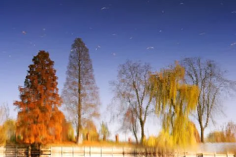 Trees reflection in water Stock Photos