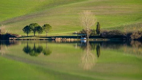 Trees reflections in the lake Stock Photos
