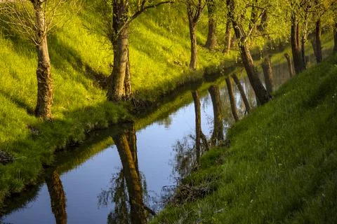 Trees With Reflections in Lijak River Stock Photos
