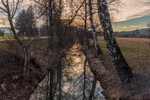 Trees reflections in a small lake - 2 Stock Photos