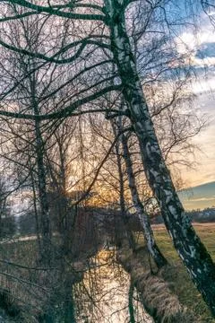 Trees reflections in a small lake - 3 Stock Photos
