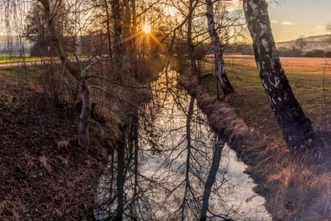 Trees reflections in a small lake - 8 Stock Photos