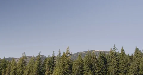 Trees on Ridge 1 Stock Footage 126417150