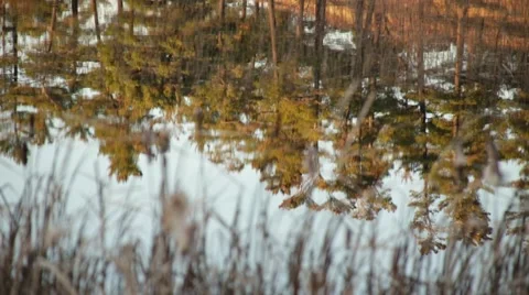 Trees on a ridge reflecting in the water Stock Footage 44212523