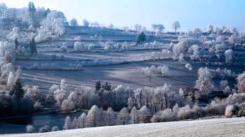 Trees with rime Stock Photos