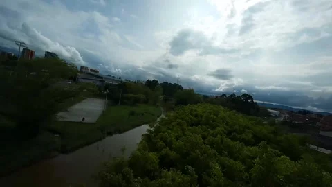 Trees in rionegro Video stock 252148234