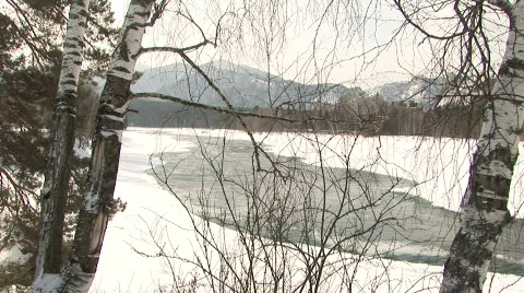 Trees &amp; river 2 스톡 동영상 788628