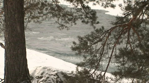 Trees &amp; river 3 Stock Footage 788624