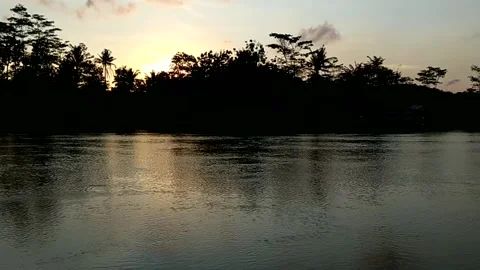 Trees by the river are beautiful in the evening. Video stock 184130567