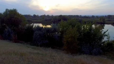 Trees on the river Bank Stock Footage 96032236