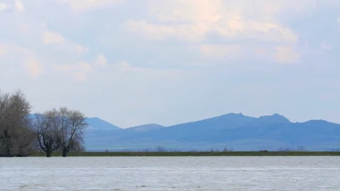 Trees In The River Near A Mountain Stock Footage 88372437