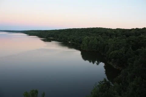 Trees on a River Stock Photos