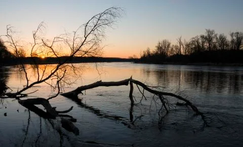 Trees by the river Stock Photos