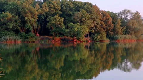 Trees on river with reflection on water loop Stock Footage 249756377