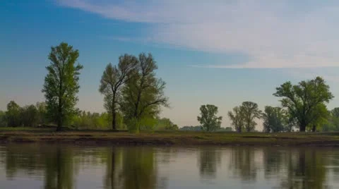 The trees on the riverbank. Stock Footage 10913324