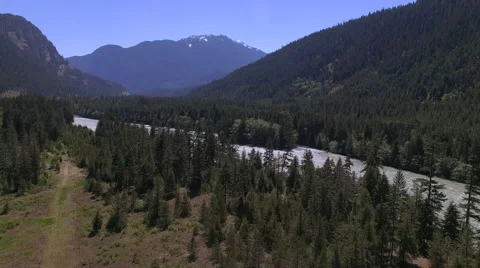 Trees, Rivers and Mountains 1 Stock Footage 63777726