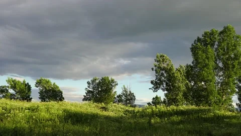 Trees by the road after a spring storm Stockbeeldmateriaal 157281686
