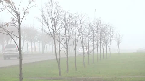Trees at road to a fog Stock Footage 8974437