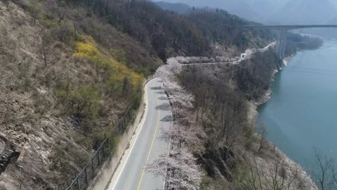 Trees on the road with mountain and river, drone shot Stock Footage 303131271