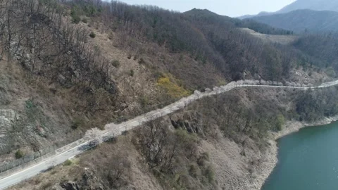 Trees on the road with mountain and river, drone shot 스톡 동영상 303131281
