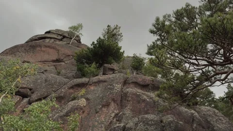 Trees on the rock Stock Footage 283469149