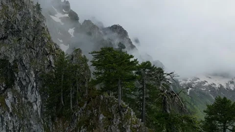 Trees on the rock in mountains, cloudy mountain peak Video stock 249999930