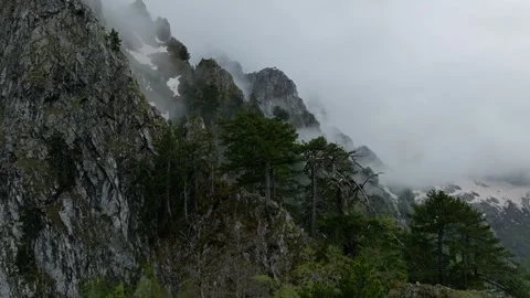 Trees on the rock in mountains, cloudy mountain ridges Stock-Footage 249999941