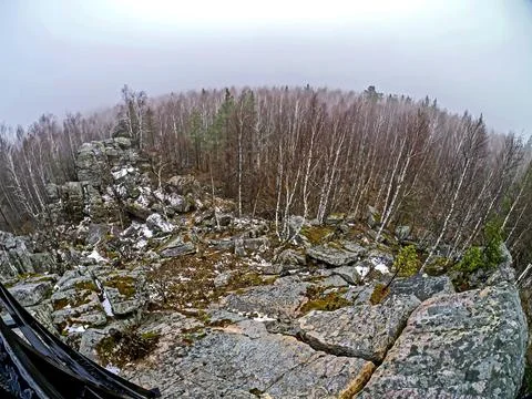 Trees in the rocks in the mountains Stock Photos
