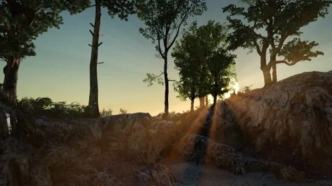 Trees on Rocks in Mountains at Sunset Stock Footage 163789553