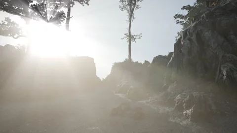 Trees on Rocks in Mountains at Sunset Stock Footage 164641409