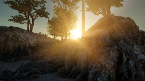 Trees on Rocks in Mountains at Sunset Stock Footage 201332358