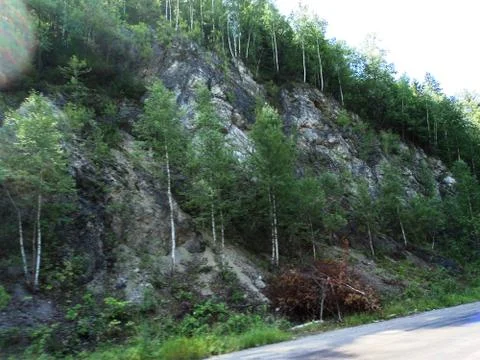 Trees on rocky mountain Stock Photos