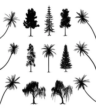 Trees with roots and palms Stock Illustration